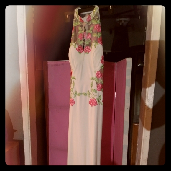 Evening /night gown - Picture 1 of 3